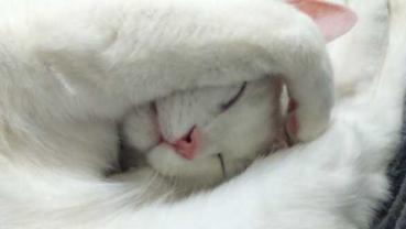 Service : chat Service : chat