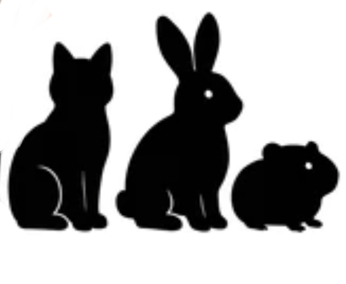 Service garde animaux 33 entre particuliers