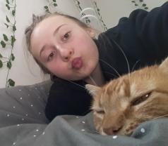 Service : garde animaux Service : garde animaux