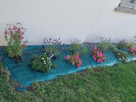 Service : jardinage Service : jardinage