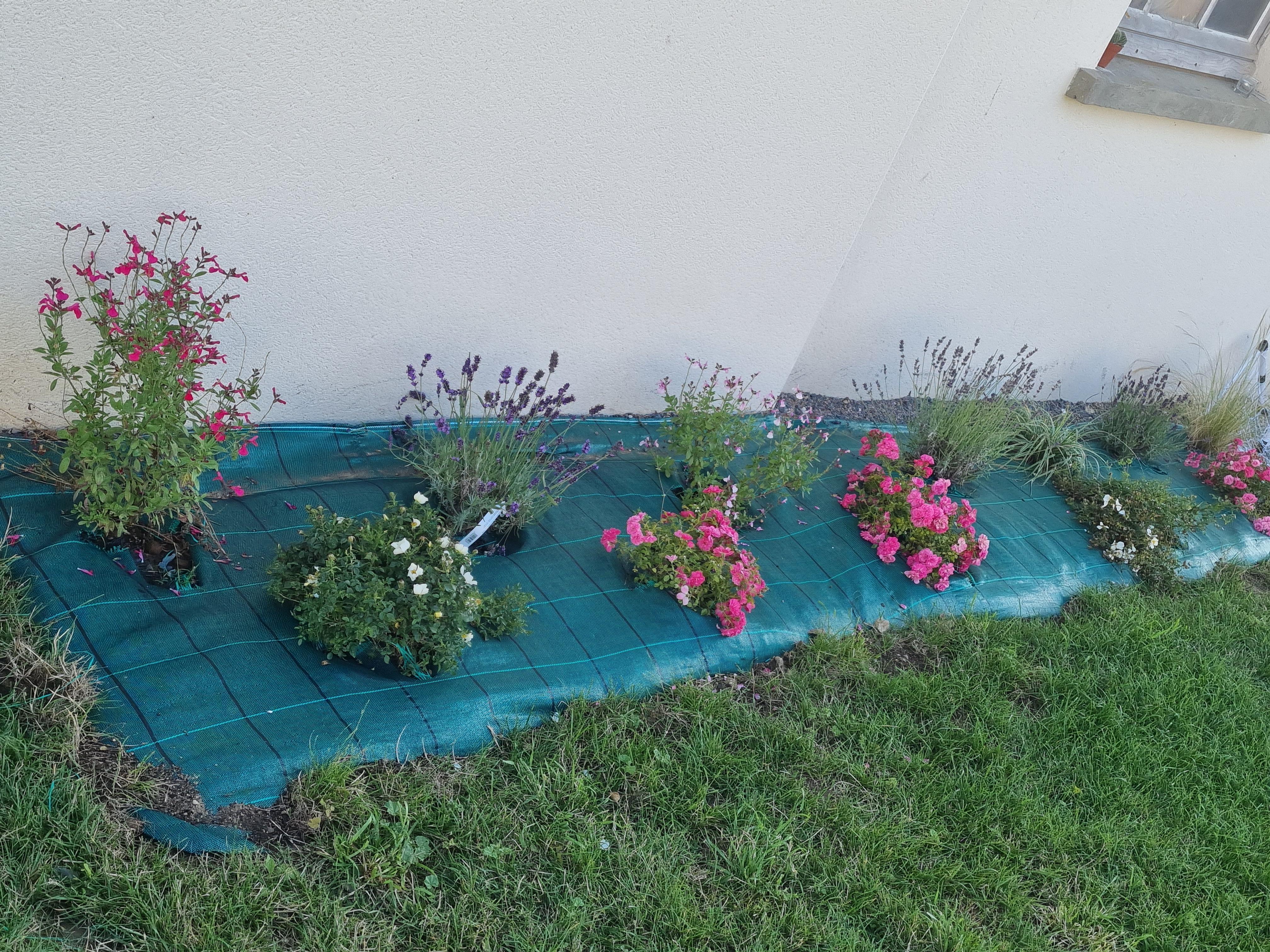 Service jardinage 14 entre particuliers