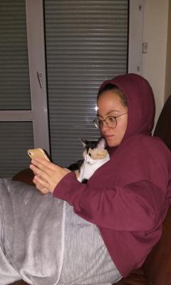 Service : garde animaux Service : garde animaux