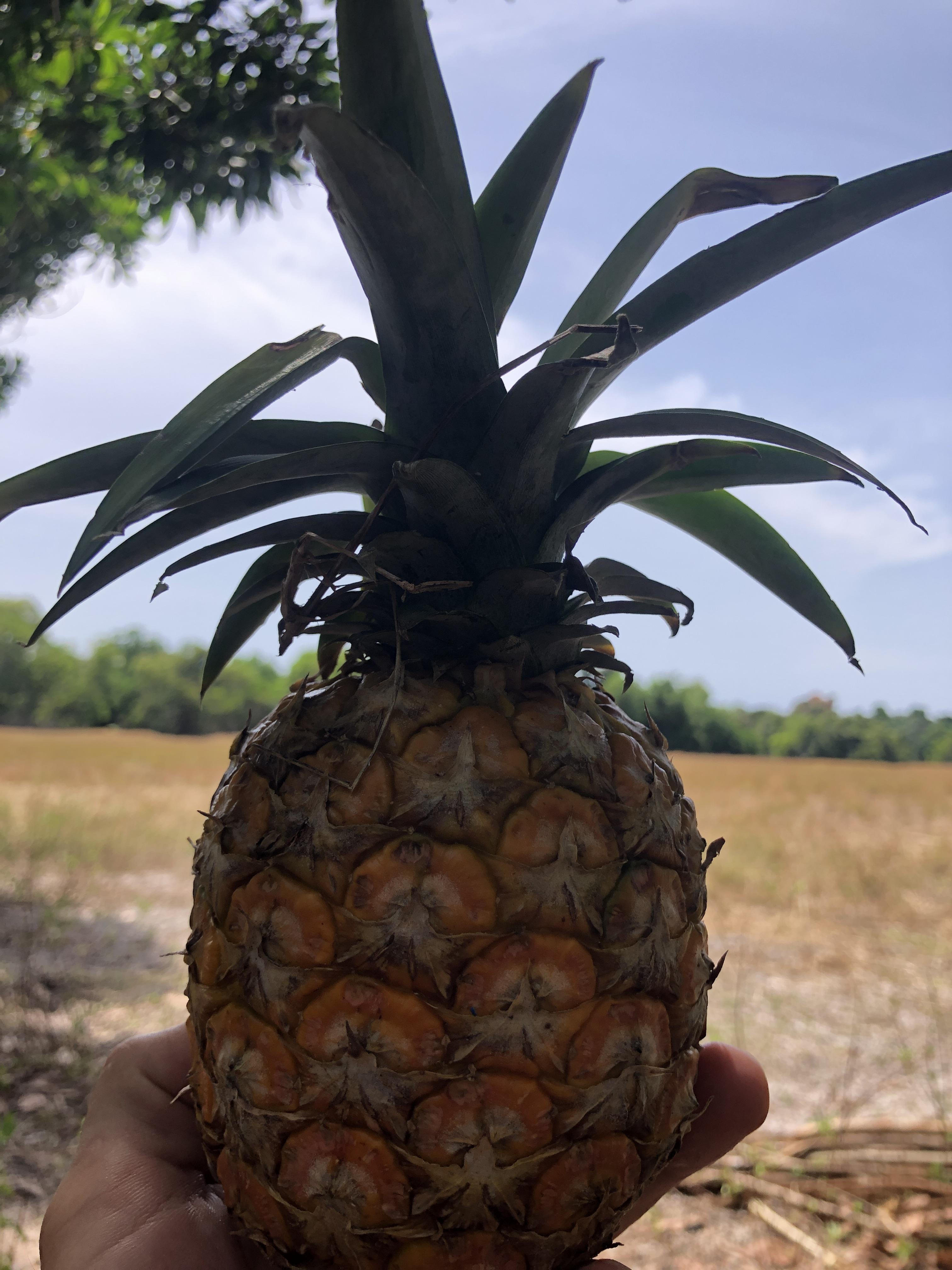 Service autres cours particuliers 20 entre particuliers