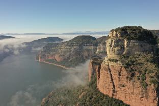 Service : photographie Service : photographie