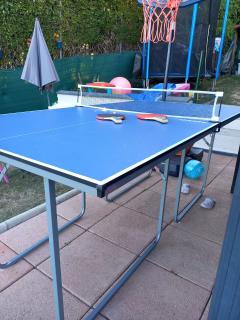Location table ping pong entre particuliers