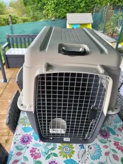 Transporteur rigide Sky Kennel Petmate pour chien et chat pour