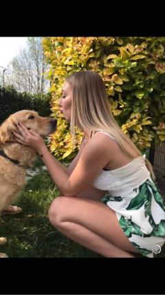 Service : garde animaux Service : garde animaux