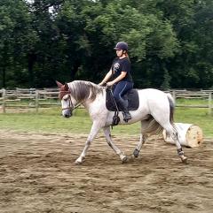 Service : garde animaux Service : garde animaux