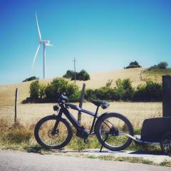 Service : aide aux courses Service : aide aux courses