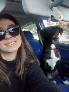 Demander ce petsitter