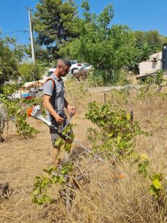 Demander ce jardinier