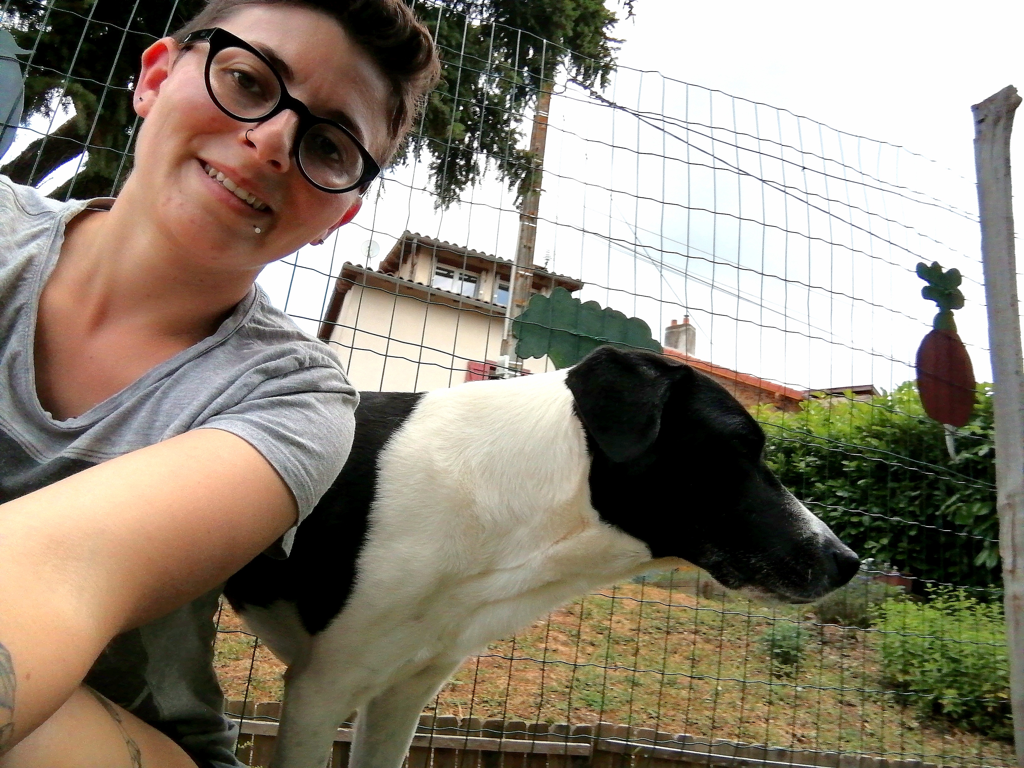 Service garde animaux 87 entre particuliers