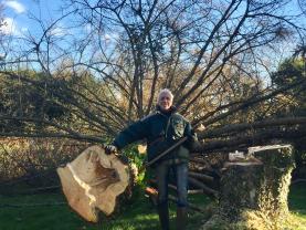 Location : tronconneuse Location : tronconneuse