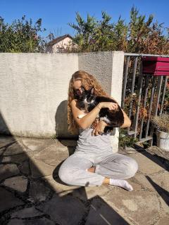 Demander ce catsitter