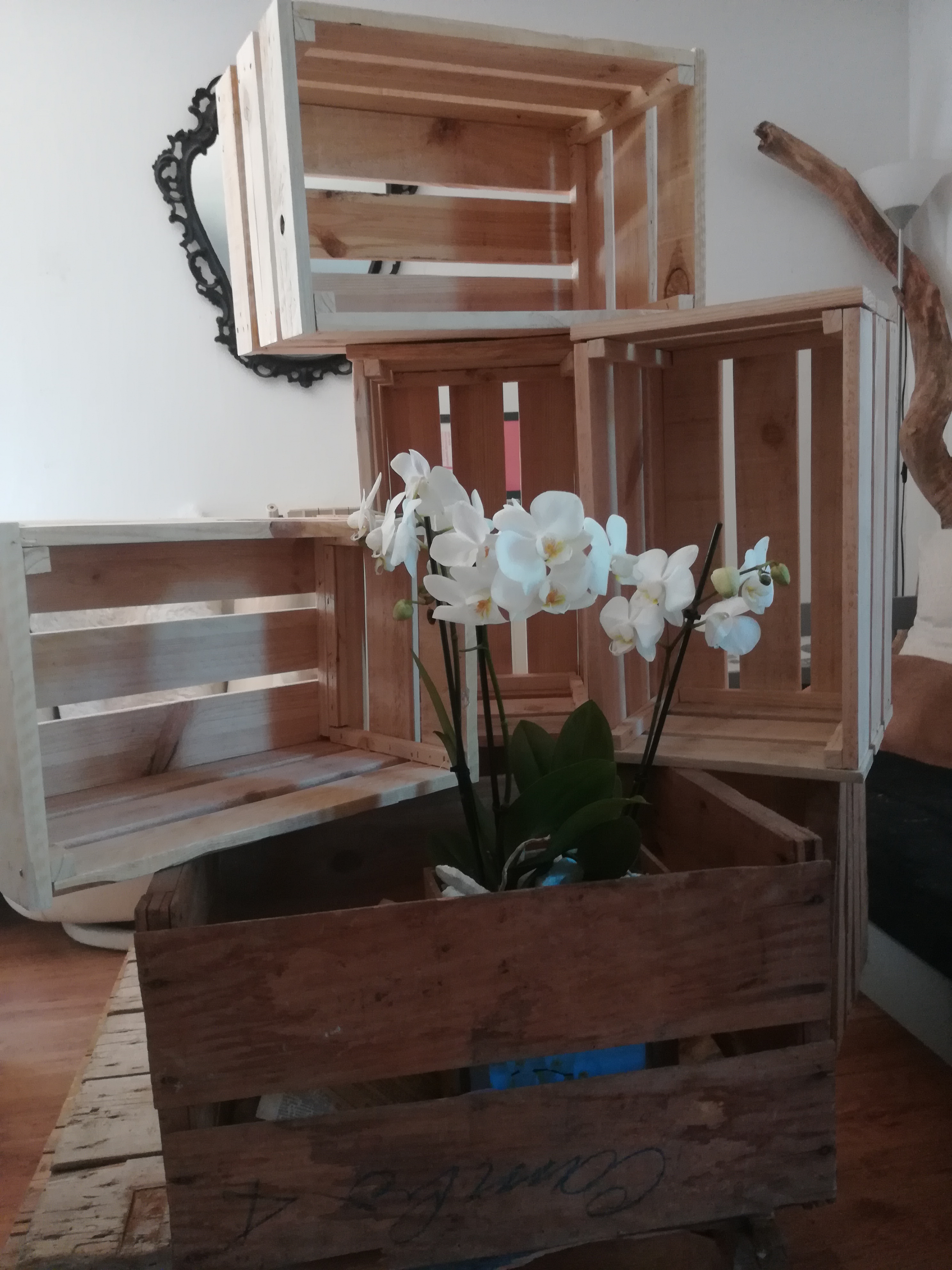 Location vaisselle 13 entre particuliers