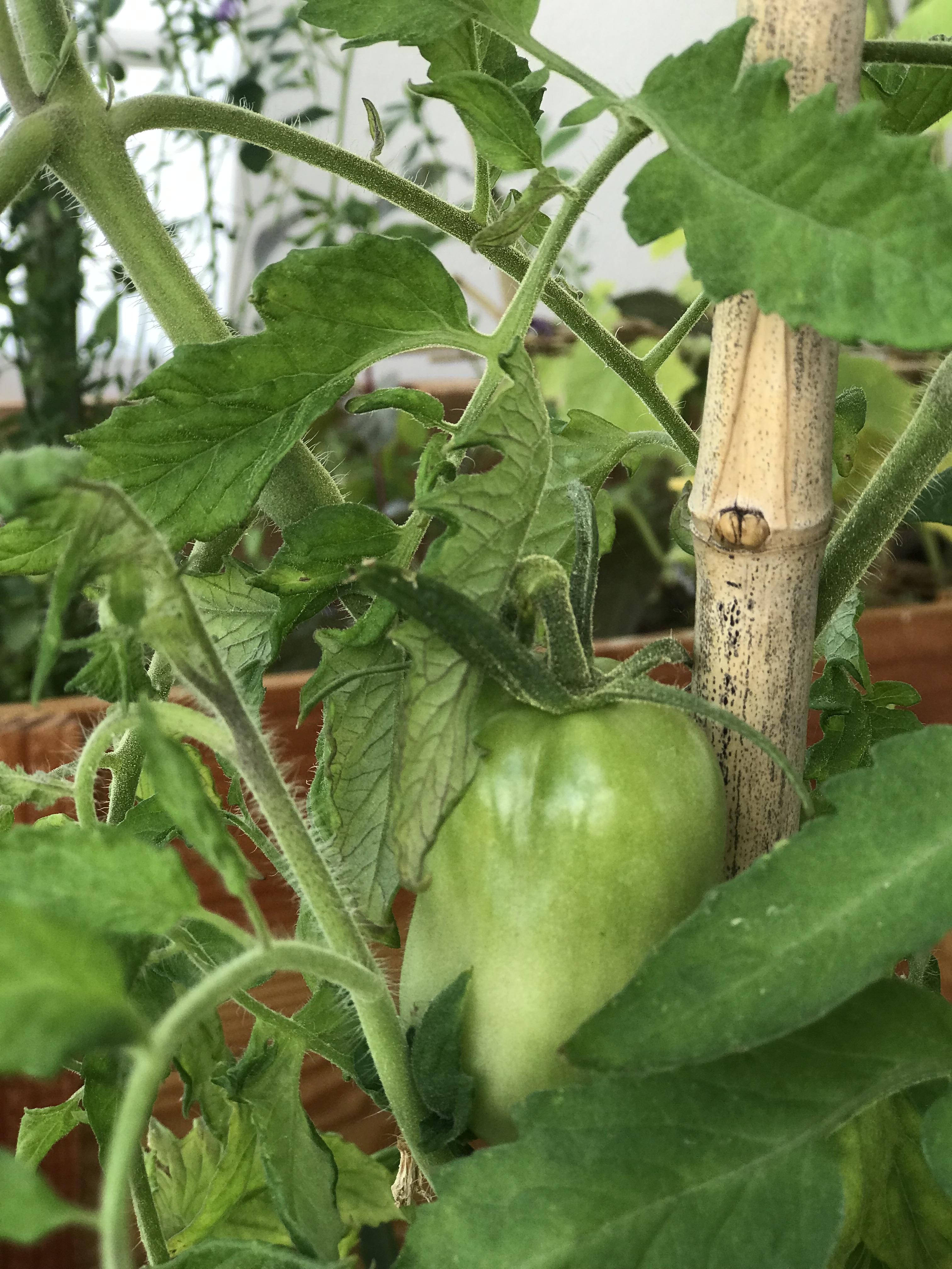 Service amenagement jardin 64 entre particuliers
