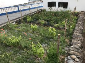 Demander ce jardinier