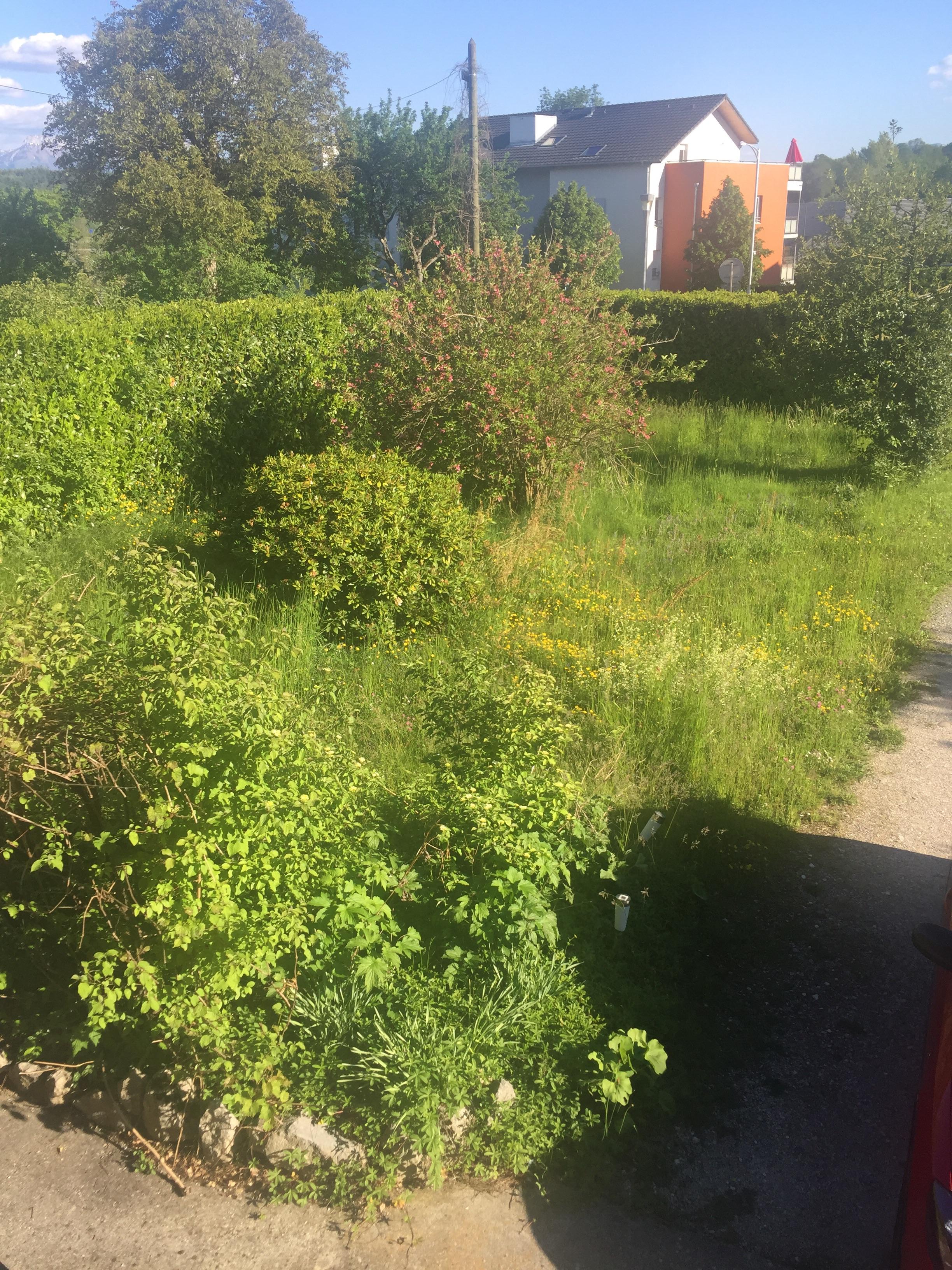 Service entretien jardin 74 entre particuliers