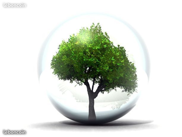 Service entretien jardin 13 entre particuliers