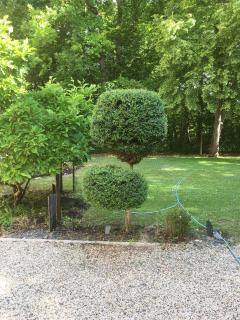 Service : entretien espace vert Service : entretien espace vert