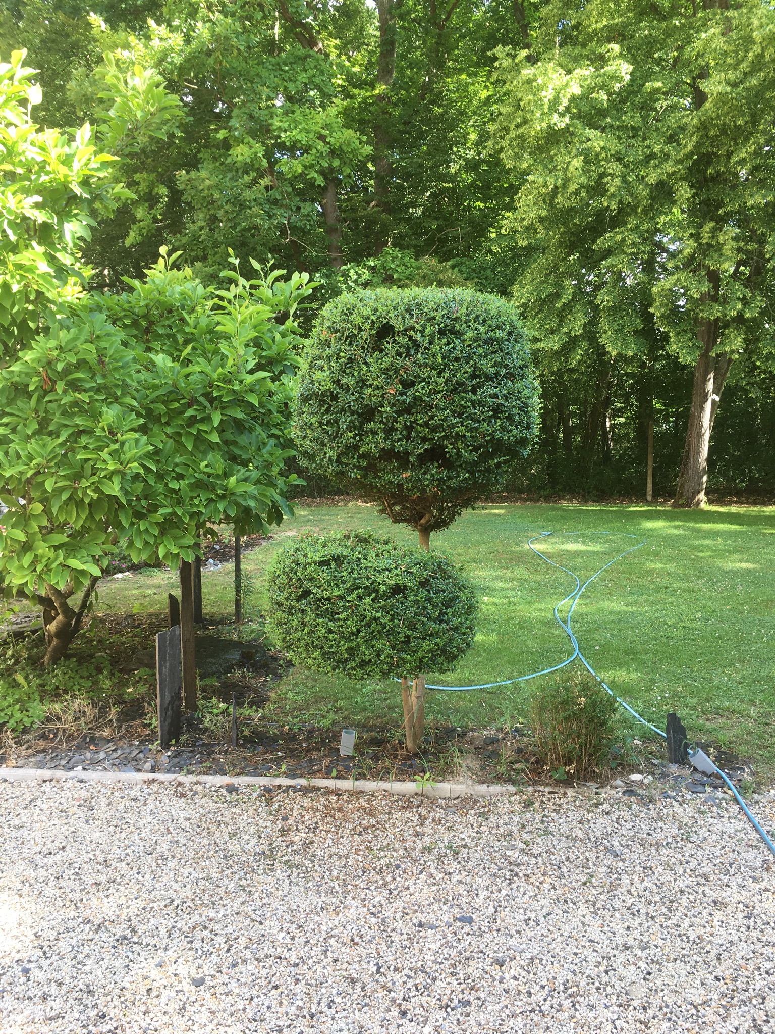 Service entretien espace vert 95 entre particuliers