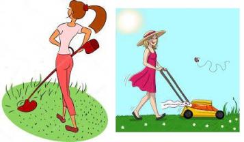 Service : tonte de pelouse Service : tonte de pelouse