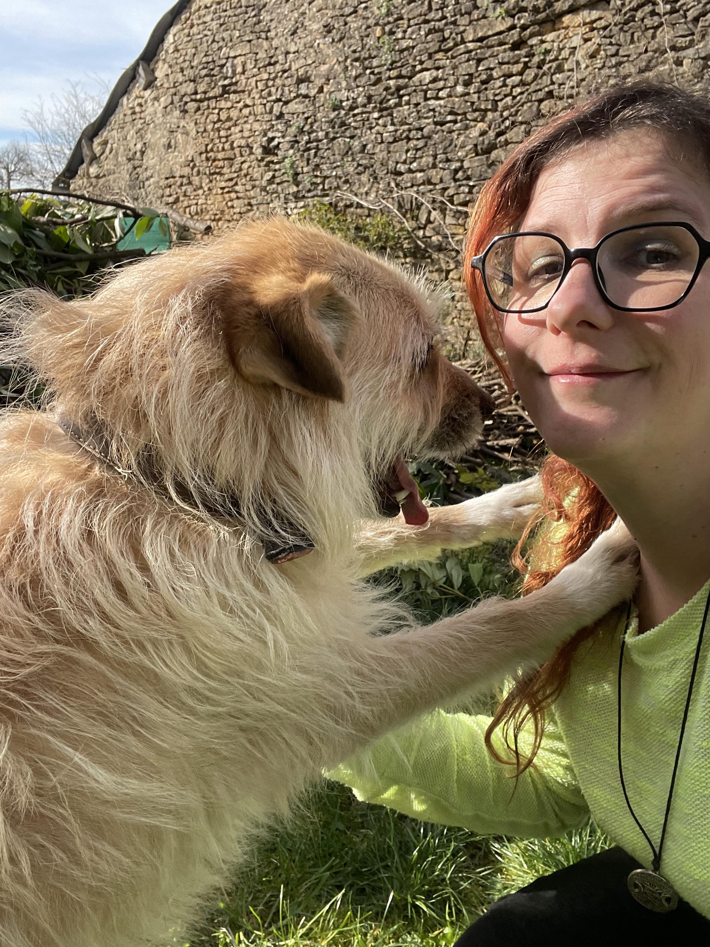 Service chien 52 entre particuliers
