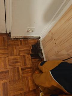 Service : pose de parquet Service : pose de parquet