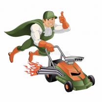 Service : tonte de pelouse Service : tonte de pelouse