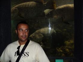 Service : menuiserie Service : menuiserie