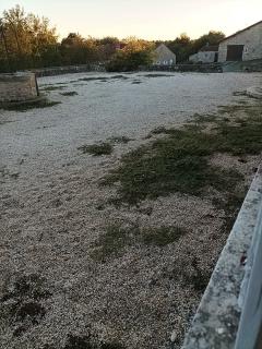 Service : jardinage Service : jardinage