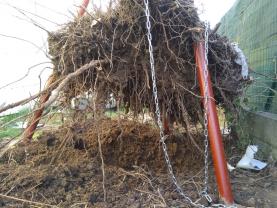 Demander ce jardinier