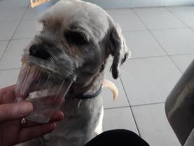 Service : plomberie Service : plomberie