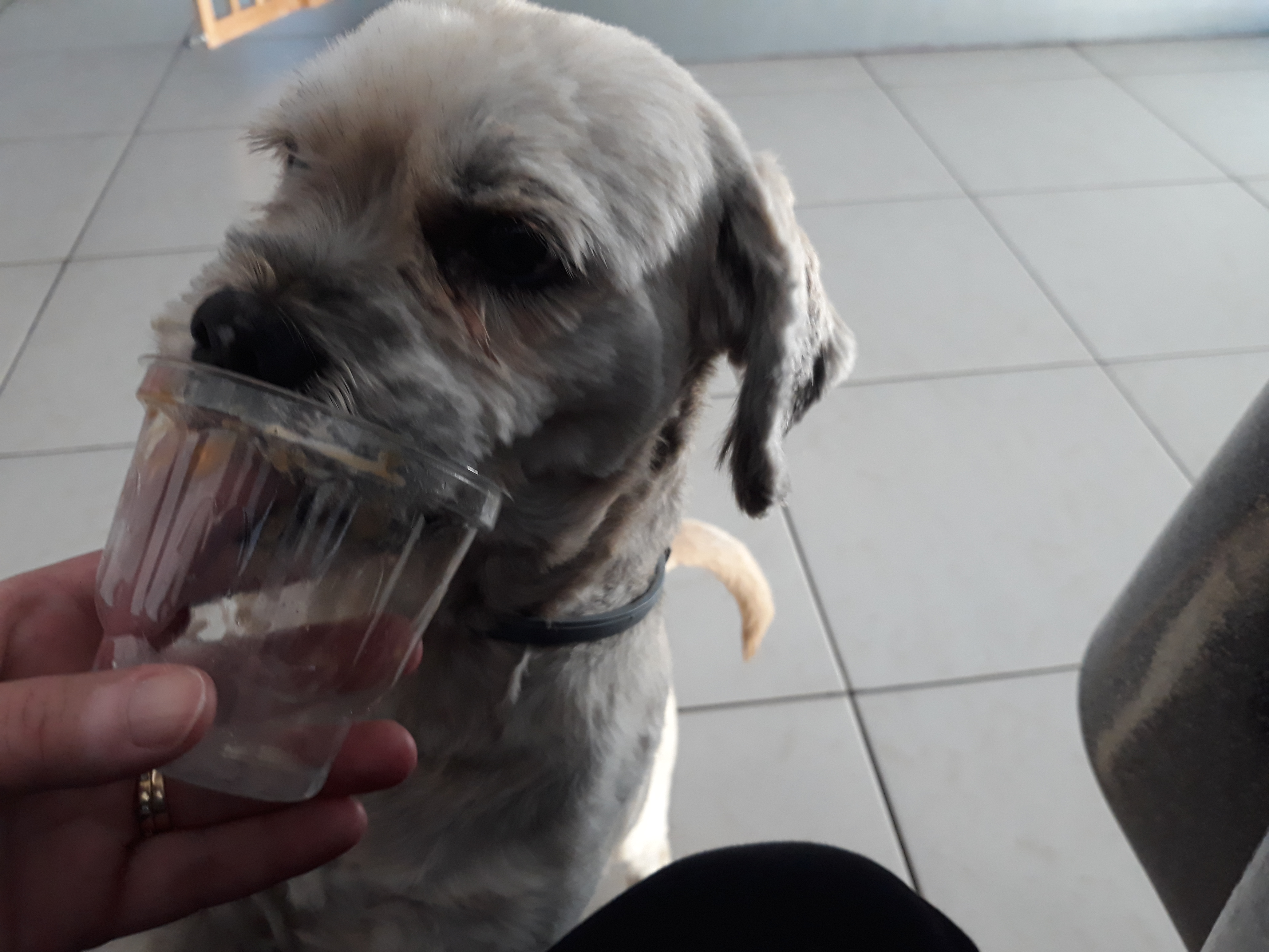 Service plomberie 77 entre particuliers