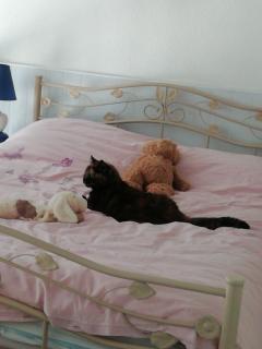 Service : chat Service : chat