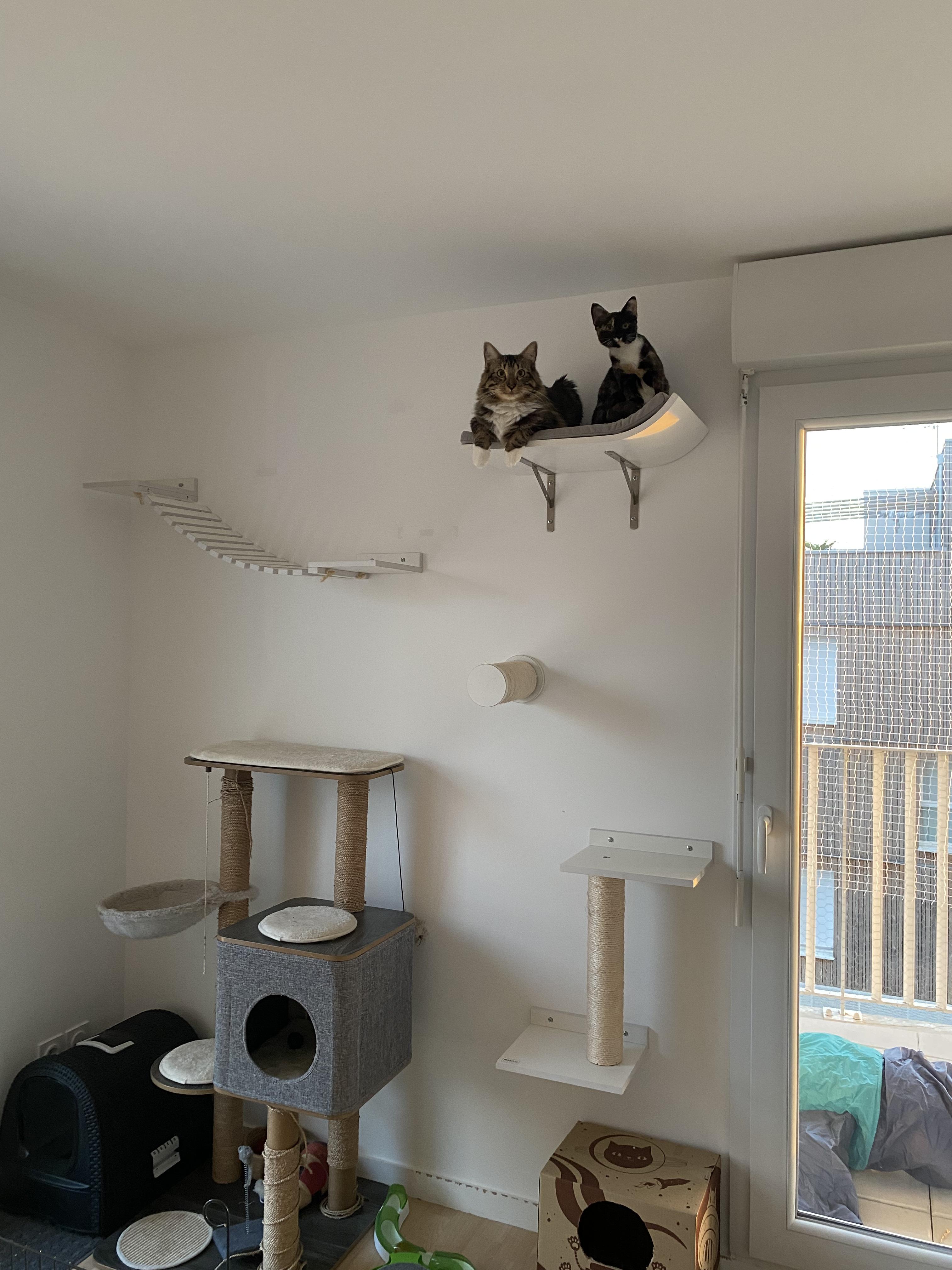 Service chat 44 entre particuliers