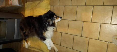 Demander une garde