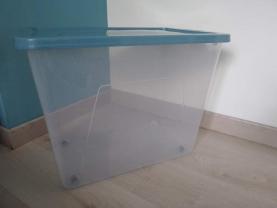 Service : repassage Service : repassage