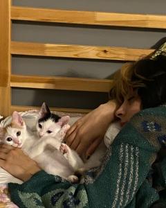 Service : chat Service : chat