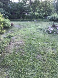 Service : amenagement jardin Service : amenagement jardin