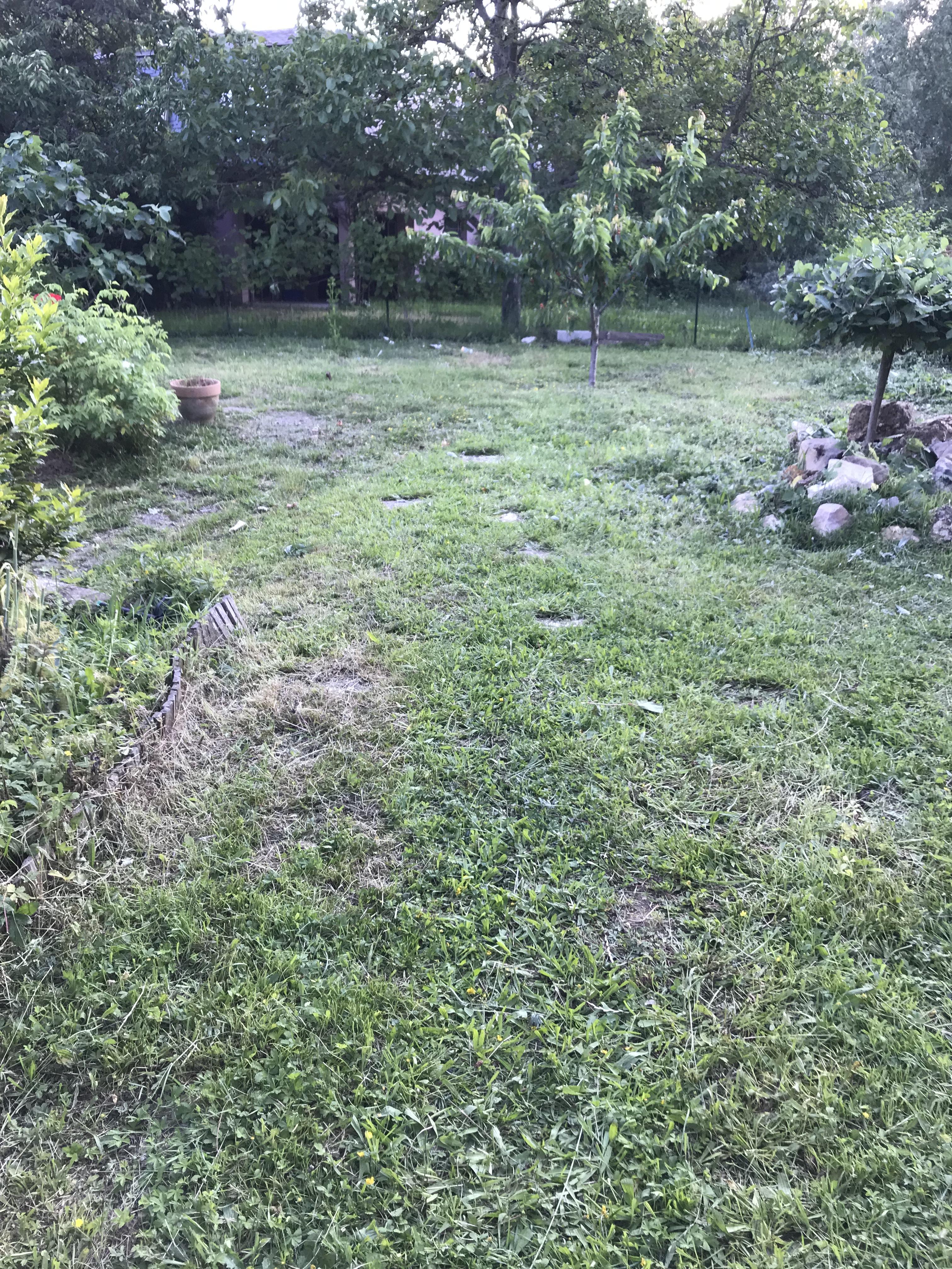 Service amenagement jardin 91 entre particuliers