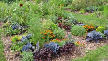 Location jardin potager entre particuliers