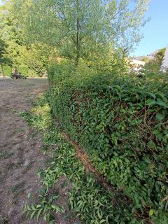 Demander ce jardinier