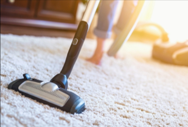 Service aide menagere 31 entre particuliers