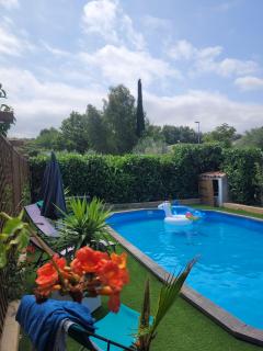 Service : entretien jardin Service : entretien jardin