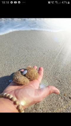 Service : soins Service : soins