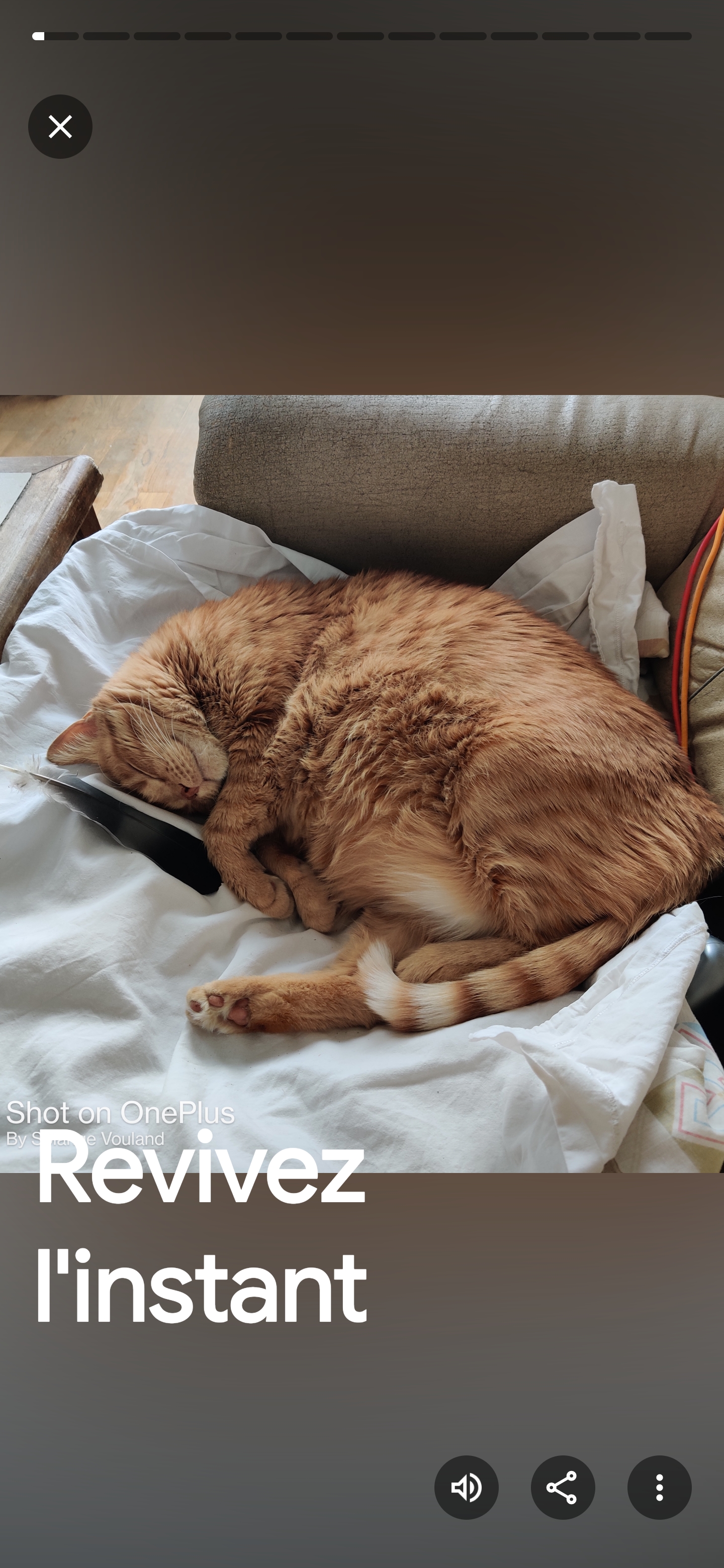 Service chat 63 entre particuliers