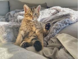 Demander une garde