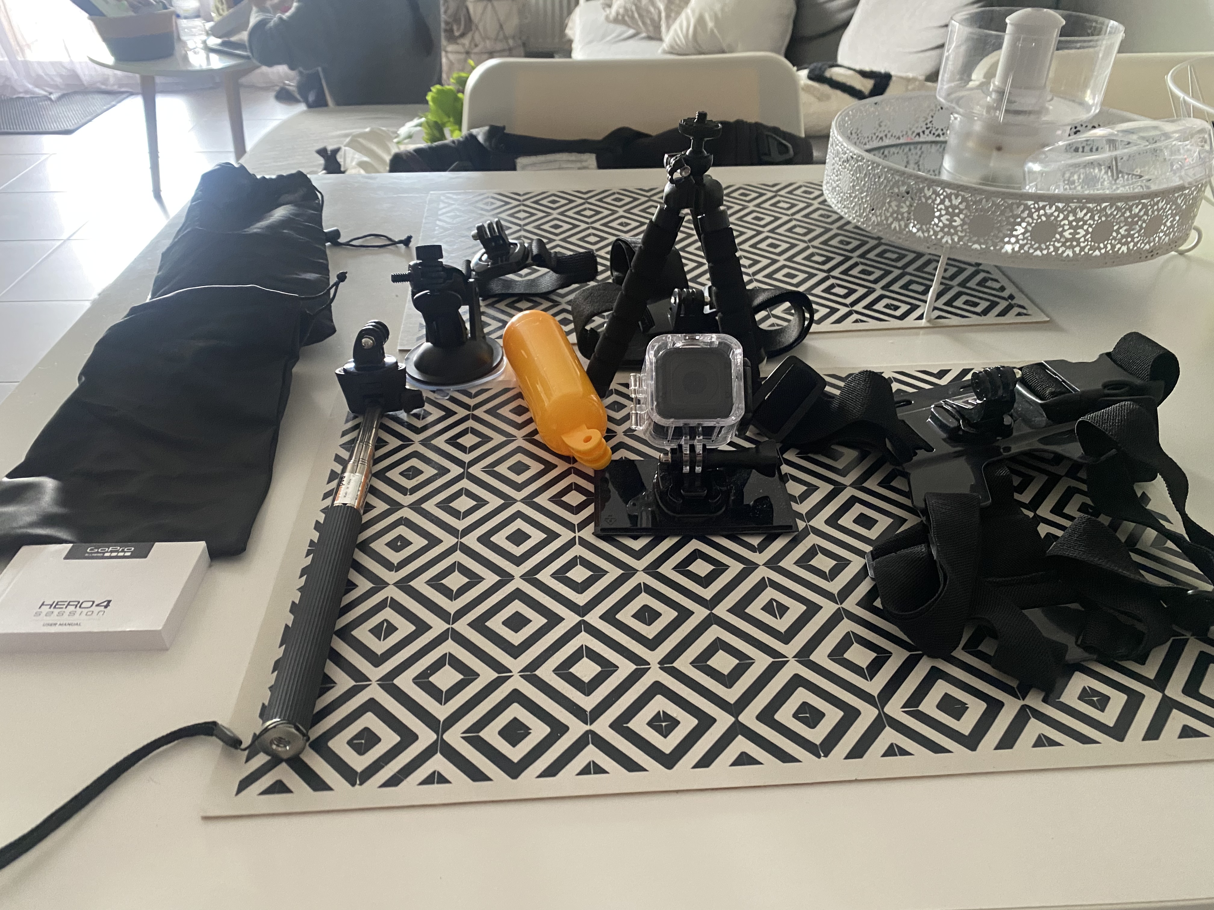 Location gopro 31 entre particuliers
