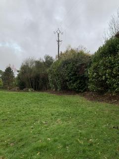 Service : coupe de bois Service : coupe de bois